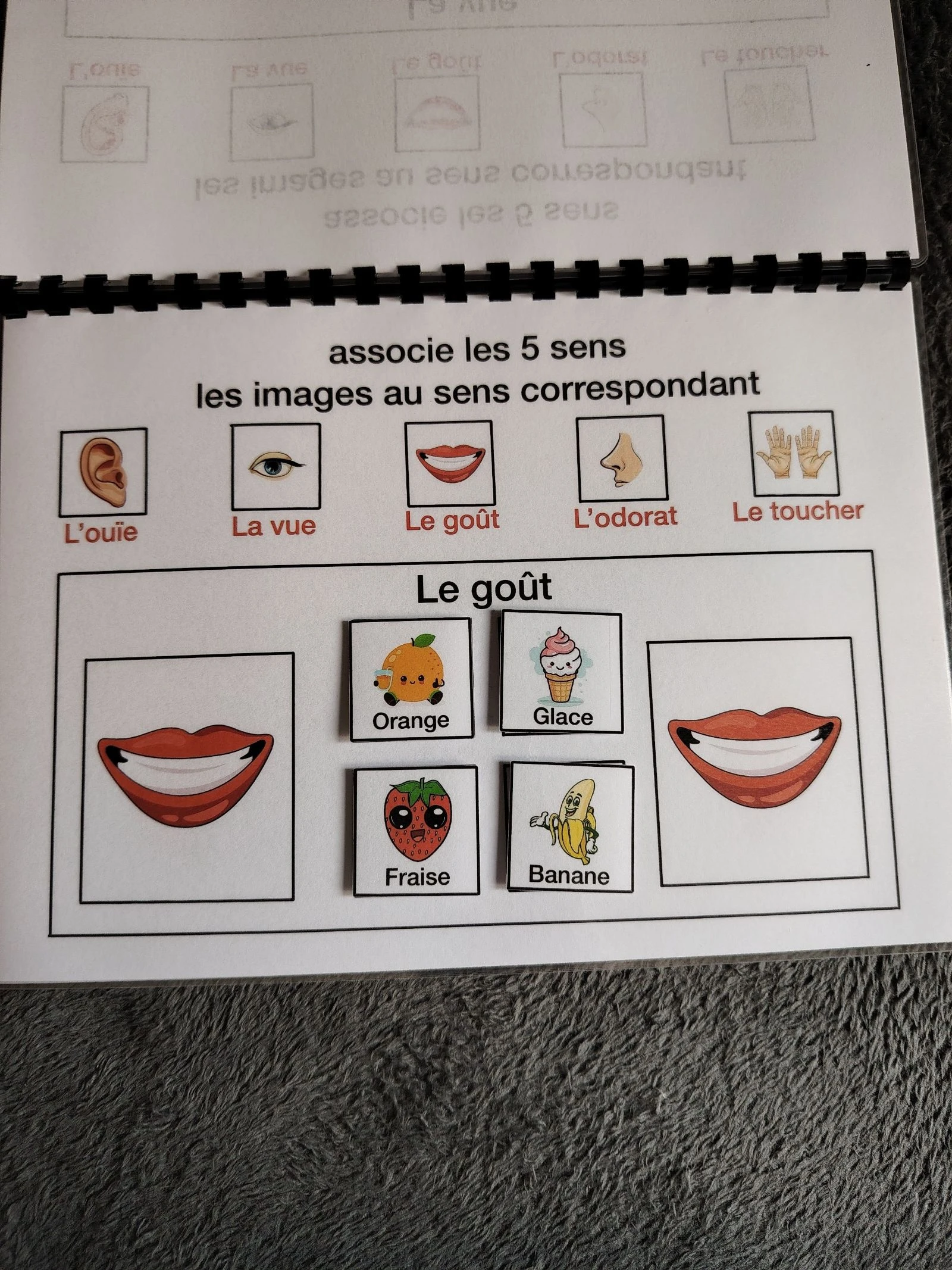 Livro de atividades o corpo humano – photo 5